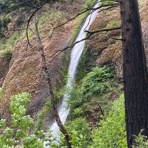 Meet your Posher, Cory